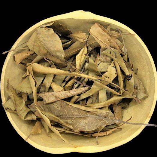 Kans 100% Natural Mango Leaves