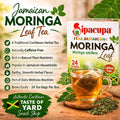 Taste of Yard | Jamaican Moringa Leaf Herbal Tea (24 Tea Bags) | Traditional Caribbean Bush Tea | Caffeine Free
