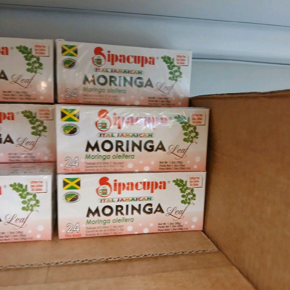 Taste of Yard | Jamaican Moringa Leaf Herbal Tea (24 Tea Bags) | Traditional Caribbean Bush Tea | Caffeine Free